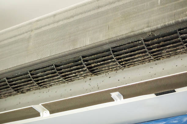 Best Best Air Duct Cleaning Company  in New Market, MD